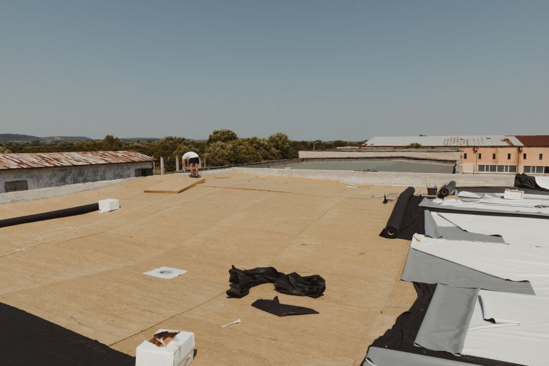 Tpo Roof Coating Service detail